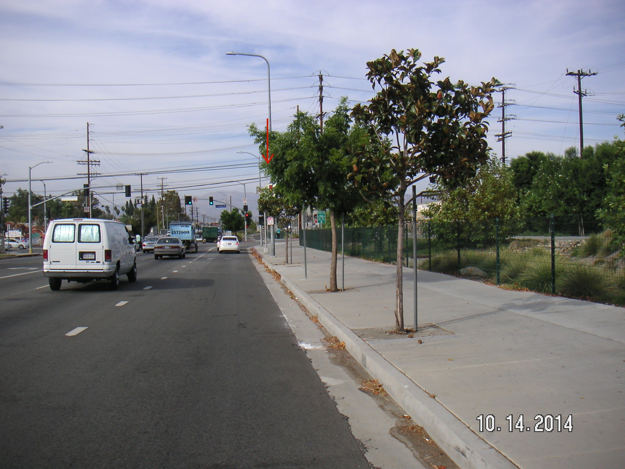 Tree over warning
                  sign Orange Line busway at Vanowen